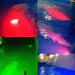 Lejlighed Kuca Za Odmor Aqua Vet Velika Kladusa